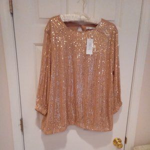 Sequin Boatneck Blouse in Champagne